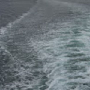 Meet your Posher, Selina